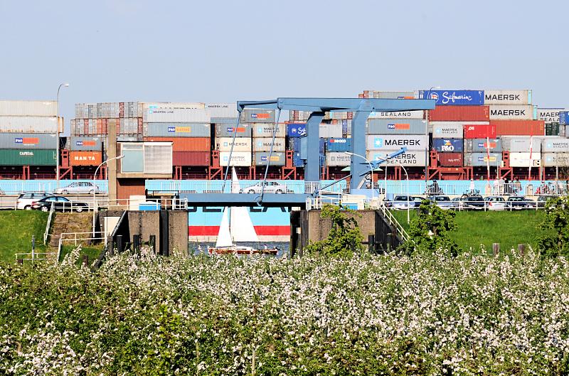2730_7285 Blühende Obstbäume am Lühesperrwerk - Klappbrücke; Containerschiff. | Fruehlingsfotos aus der Hansestadt Hamburg; Vol. 2